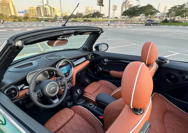 Mini Cooper (6)